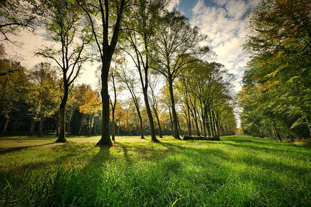 Parco delle Rimembranze